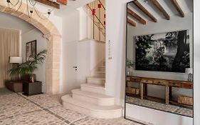 Can Veri Suites